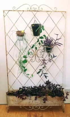 Jardinière Française En Fer Forgé Avec Treillis -Jardin Fournitures Boutique 593da099 b2d6 43ae 907c 09b8319c62ae