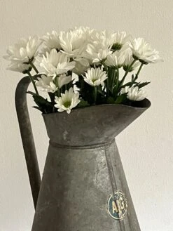 Broc En Zinc 13 Broc En Zinc -Jardin Fournitures Boutique 59a81285 45b0 498d 900a e32307a15ebb