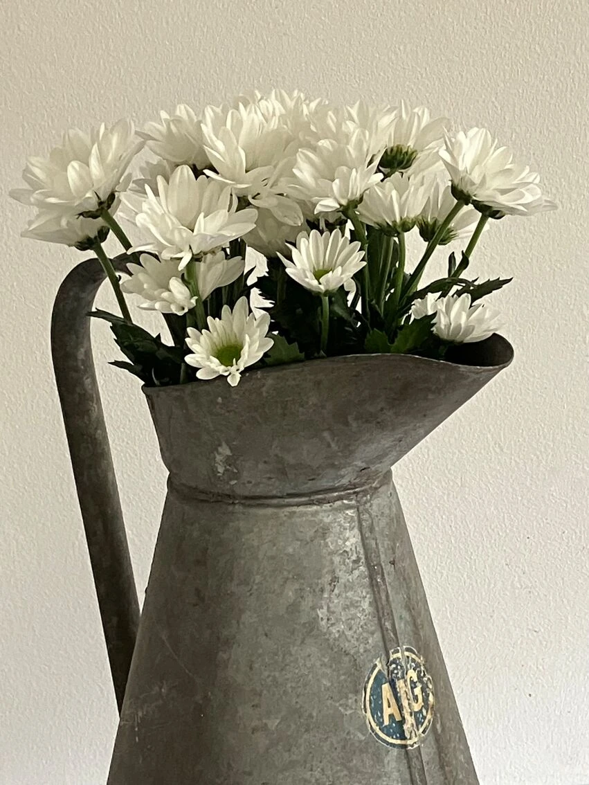 Broc En Zinc 7 Broc En Zinc – Image 5