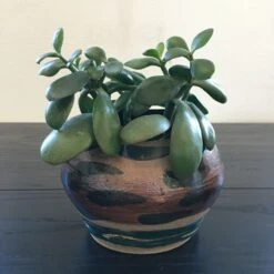 Cache Pot Pièce Unique Signée -Jardin Fournitures Boutique 5a79c9a4 acb5 4f7b 989a 117efa2085ea