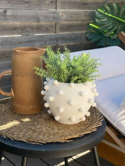 Cachepot Blanchi -Jardin Fournitures Boutique 5efbedbe e7ea 4ace 903a a55c8e8df239