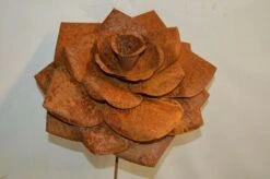 Rose En Fer Forgé -Jardin Fournitures Boutique 633068c8 c276 42d9 a7bb 060819c71c06