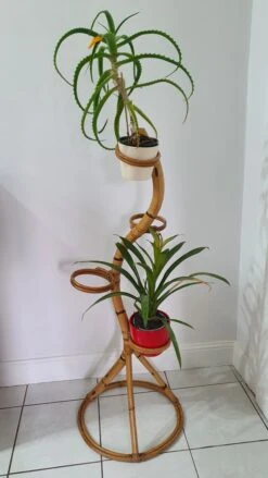 Porte Plantes En Bambou Années 50 -Jardin Fournitures Boutique 681fedb4 7ce6 4ddd 8e48 3cc3c56ab043