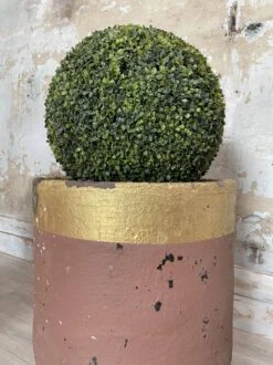 Jardinières, Creusets De Fonderie -Jardin Fournitures Boutique 68e48dff 85c4 46a2 88c1 5cbe5fd34055