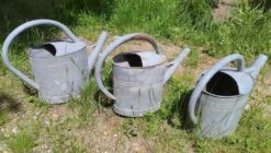 Lot De 3 Arrosoirs En Zinc 10 Lot De 3 Arrosoirs En Zinc -Jardin Fournitures Boutique 6af5e379 2aa6 4208 a0e5 99cb86c385d0