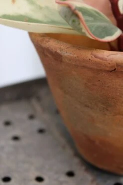 Lot De 2 Pots à Résine -Jardin Fournitures Boutique 6b4215d4 d1ca 4f75 9f7a 32876c7a22c7