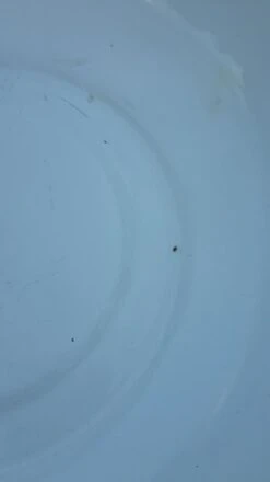 Bassine Tôle émaillée 16 Bassine Tôle émaillée -Jardin Fournitures Boutique 6cf293dc 86e9 44d0 bf77 bab60e6afc7e