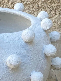 Cachepot Blanchi -Jardin Fournitures Boutique 7062b14f ec16 4291 a484 1c9c0d657fee