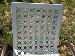 4 Chaises Vintage -Jardin Fournitures Boutique 7105745f aae5 49a0 a045 5596eba4dafa