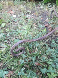 Porte Plante H135cm Fer Torsadé Vintage -Jardin Fournitures Boutique 7154037f 3d2c 4eb8 a58c 7c2a5080f242