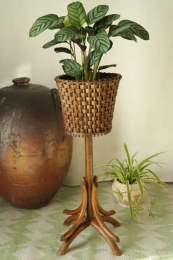 Porte-plante Vintage Roseau Tréssé Bois Courbé -Jardin Fournitures Boutique 71c5793b 7872 4f1a 9079 2346b389ab69