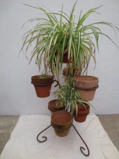 Porte Plantes En Métal De Couleur Marron Brun Capacité 7 Pots -Jardin Fournitures Boutique 769e63cb a16c 4877 af41 91e2968f804c