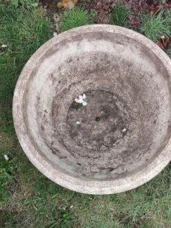 Pot Grandon Fres 18 Pot Grandon Fres -Jardin Fournitures Boutique 7887c4cd 3fd4 48a1 9498 2621067ac7a4