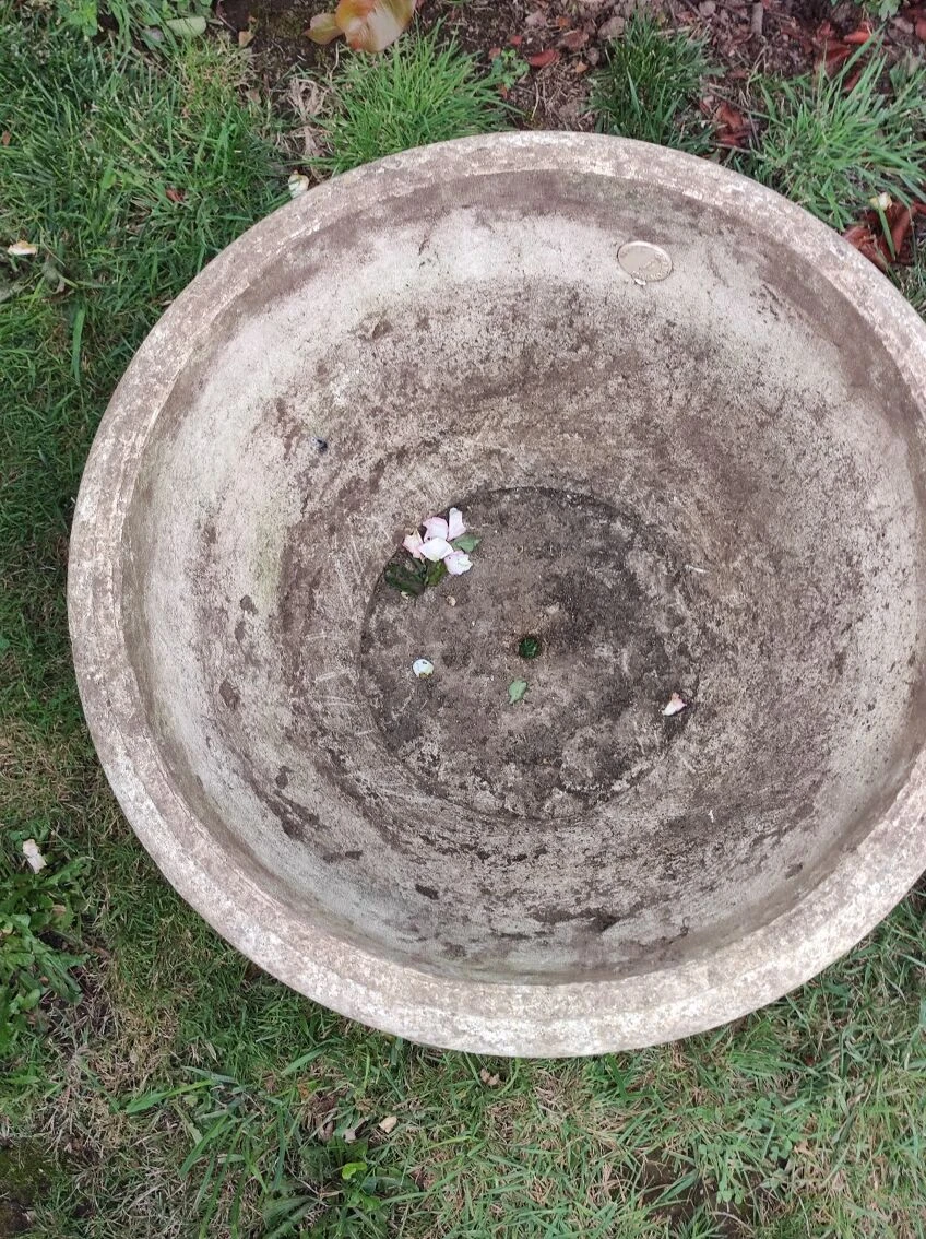 Pot Grandon Fres 10 Pot Grandon Fres – Image 8