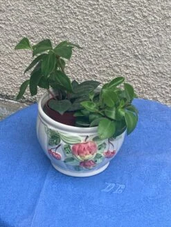 Cache Pot Céramique émaillée Blanc Barbotine Fruits Vintage -Jardin Fournitures Boutique 7eba9e12 a033 4292 b21b 048147217138