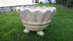 Poterie Extérieur Pour Fleurs Ou Plantes -Jardin Fournitures Boutique 7ee017be 856c 4671 a9db 0f9be4e1f9f6