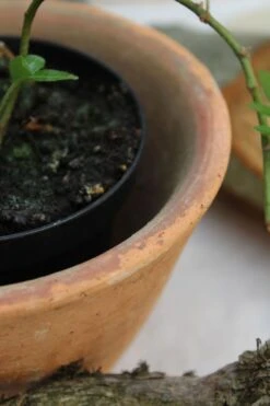 Lot De 2 Pots à Résine -Jardin Fournitures Boutique 7eec925a f296 4085 bedc a2728c080c62