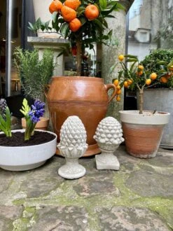 Pomme De Pin D'ornement En Béton Blanchi -Jardin Fournitures Boutique 8115cb80 d5a2 43b8 9dc9 511bb50a2214