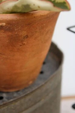 Lot De 2 Pots à Résine -Jardin Fournitures Boutique 815ea1a2 0eb3 4014 a78a ccde8e822cb1