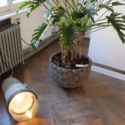 Garden Lighting -Jardin Fournitures Boutique 848bd56e af31 47c9 9c65 fddba450d0d4