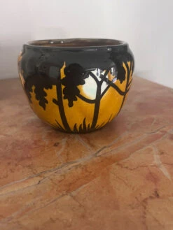 Pot Orchies -Jardin Fournitures Boutique 868d56ef a1a8 4e57 8243 ce7c32c0ee3c