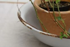 Ancienne Bassine 18 Ancienne Bassine -Jardin Fournitures Boutique 8bb222f3 d29d 4f72 a294 55a1b9a05c0f