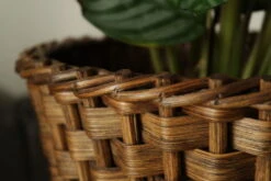 Porte-plante Vintage Roseau Tréssé Bois Courbé -Jardin Fournitures Boutique 8e7be263 91ca 4678 a2bc eb92f8a80a1a