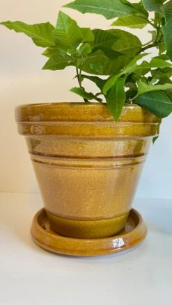 Cache Pot En Céramique Poterie Clarous France 26 Cache Pot En Céramique Poterie Clarous France -Jardin Fournitures Boutique 915ada8a 143d 4e4d 8d00 a27a909cdf92