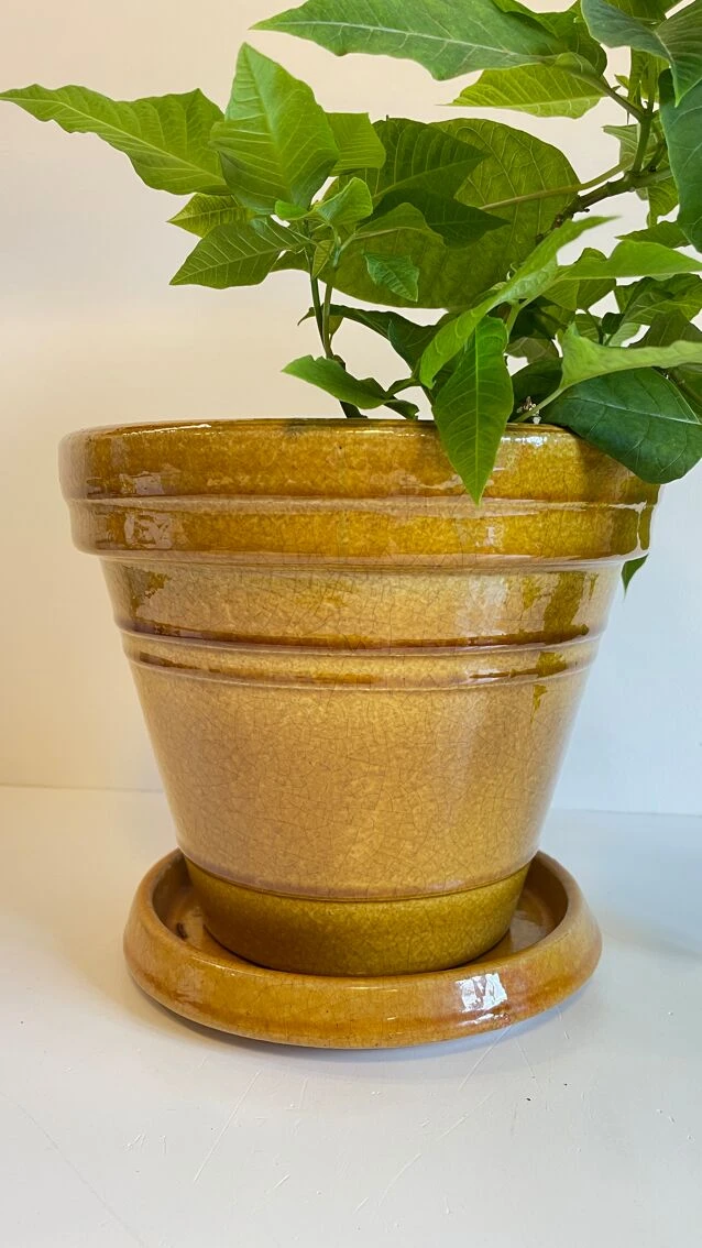 Cache Pot En Céramique Poterie Clarous France 14 Cache Pot En Céramique Poterie Clarous France – Image 12