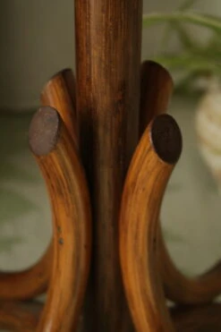 Porte-plante Vintage Roseau Tréssé Bois Courbé -Jardin Fournitures Boutique 9323070f 9df0 4764 b988 6292828bf383