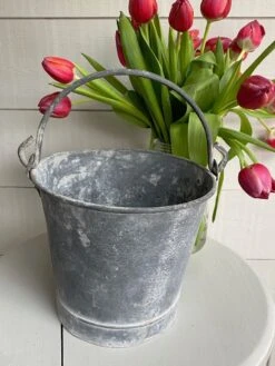 Seau En Zinc 12 Seau En Zinc -Jardin Fournitures Boutique 998031a1 c703 4fd1 9f3c 6c872fc6e56a