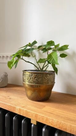 Cache-pot En Laiton Décor Noel Années 70-80 -Jardin Fournitures Boutique 9bd673a5 f691 43ab 81f8 2569f619e4fc