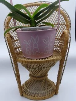 Fauteuil Porte Plante En Osier -Jardin Fournitures Boutique 9d290414 e3f6 44ac 8802 439d1f59b1cf