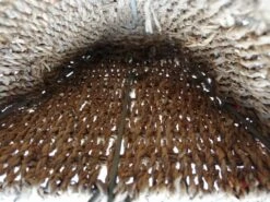 Ancien Présentoir De Fleuriste En Osier, Paille Tressé, Armature En Métal -Jardin Fournitures Boutique a01a869b dbef 4a29 bb7d ed9ad7e90021