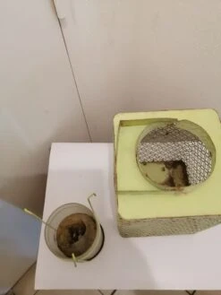 Paires De Lanterne En Metal Avec Bougies De Jardin 17 Paires De Lanterne En Metal Avec Bougies De Jardin -Jardin Fournitures Boutique a1d2548b 6e11 4b44 9419 2b2843f36050