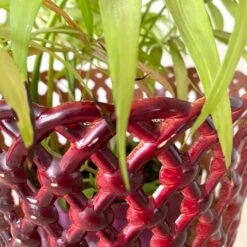 Cache Pot Syla Bakélite -Jardin Fournitures Boutique a3127e44 261b 402f 964f 4851ceddc3ef