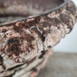 Paire De Vasques En Fonte 19ème -Jardin Fournitures Boutique a43d70c3 5f18 4715 b375 67b24518cb1e