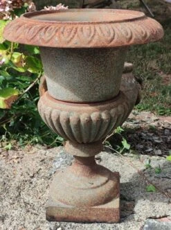 Ancien Petit Médicis En Fonte -Jardin Fournitures Boutique a4ab3f80 c561 45a9 a9a5 2773517fb830