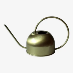 Arrosoir En Laiton Des Années 1970 Vintage