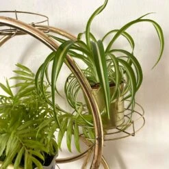 Porte Plantes Vintage En Métal Doré -Jardin Fournitures Boutique a53038bc 6e94 4619 a836 15f1600f244a