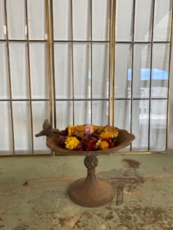 Bain D'oiseau -Jardin Fournitures Boutique a5cb1666 da0c 4a97 9b53 5ced6fc5fbff