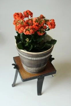 Porte Plante Du Milieu Du Siècle En Fer Forgé Avec Un Carreau De Céramique, Vintage Des Années 1970 -Jardin Fournitures Boutique a751f80e 04bd 4cda a4fb f775afe5fa48