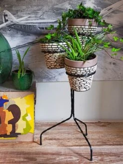 Porte-plantes En Fer Forgé Tripode Années 50, Avec Trois Cache-pots -Jardin Fournitures Boutique a7eca512 a262 4aa4 8ccc 21b61dfc8596