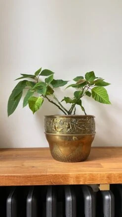 Cache-pot En Laiton Décor Noel Années 70-80 -Jardin Fournitures Boutique a8d36879 038e 47d6 9b45 1a275b7b7e1e