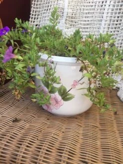 Cache Pot Décor Fleurs Pastel -Jardin Fournitures Boutique a9db8809 7242 482d af9d ee121fca672e