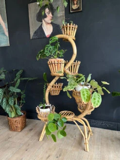 Porte Plantes Rotin -Jardin Fournitures Boutique aad5b2e3 f2b3 42db 8b85 a76c0901c37e