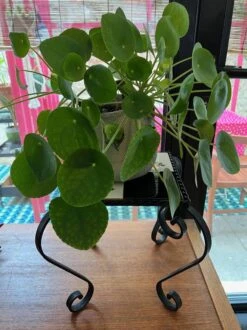 Porte Plante Fer Forgé Et Carreaux De Faïence Motif Oiseaux -Jardin Fournitures Boutique aafa16fb eeed 4c4c abd6 d0313a7cb1a0