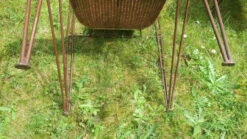 Ensemble De 4 Chaises De Jardin En Rotin Et Fer Par Frederick Weinberg, États-Unis Années 1950 32 Ensemble De 4 Chaises De Jardin En Rotin Et Fer Par Frederick Weinberg, États-Unis Années 1950 -Jardin Fournitures Boutique aeaadfd9 e789 432d b559 035585685c1f