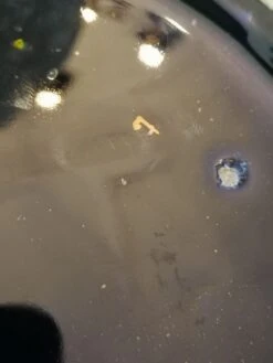 Cache Pot Sarreguemines -Jardin Fournitures Boutique b1091be7 e491 4214 b734 2854576215b2