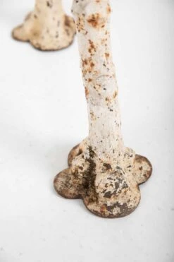 Banc De Jardin Victorien -Jardin Fournitures Boutique b3da8e46 708a 4f4a a6d3 76fded44fb68